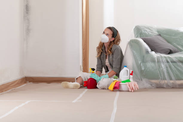 Reliable Black Mold Removal contractor in Cologne, NJ by WQB Mold Removal